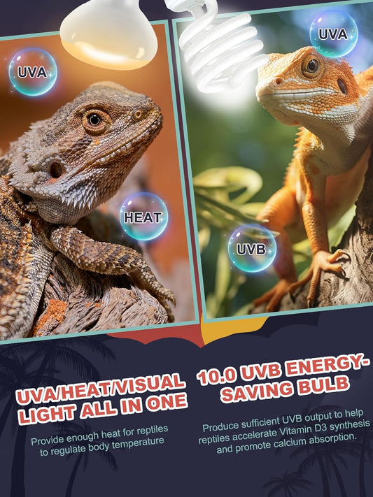 Heat Lamp Combo, 100W UVA Daylight Reptile Heat Lamp Bulb and 26W Desert 10.0 UVB Light for Reptiles, Energy Saving UVB Bulb, Infrared Basking Light for Bearded Dragon, Turtle and Lizard