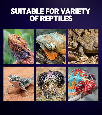 REPTI ZOO 2Pack Reptile Heat Lamp 100W Reptile Night Heat Bulb Night Heat Lamp Without UVA for Turtle Bearded Dragon Gecko Lizard and Snake E26/E27 Purple