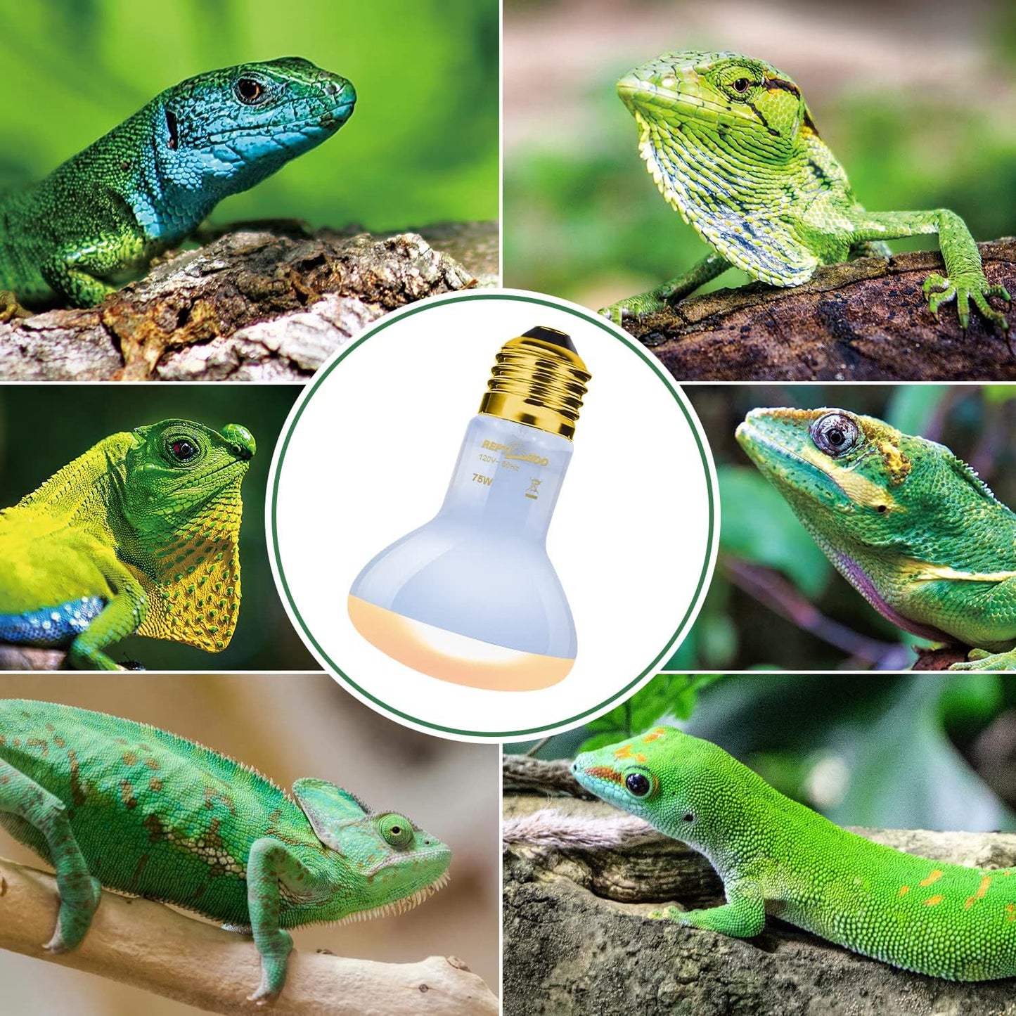 REPTI ZOO 2 Pack 75W Reptile Neodymium Daylight Basking Spot Lamp UVA Bulb Reptile Heat Lamp for Amphibian Lizard Tortoise Bearded Dragon Hedgehogs