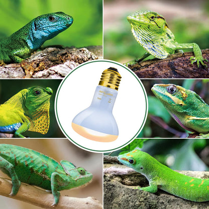 REPTI ZOO 2 Pack 75W Reptile Neodymium Daylight Basking Spot Lamp UVA Bulb Reptile Heat Lamp for Amphibian Lizard Tortoise Bearded Dragon Hedgehogs