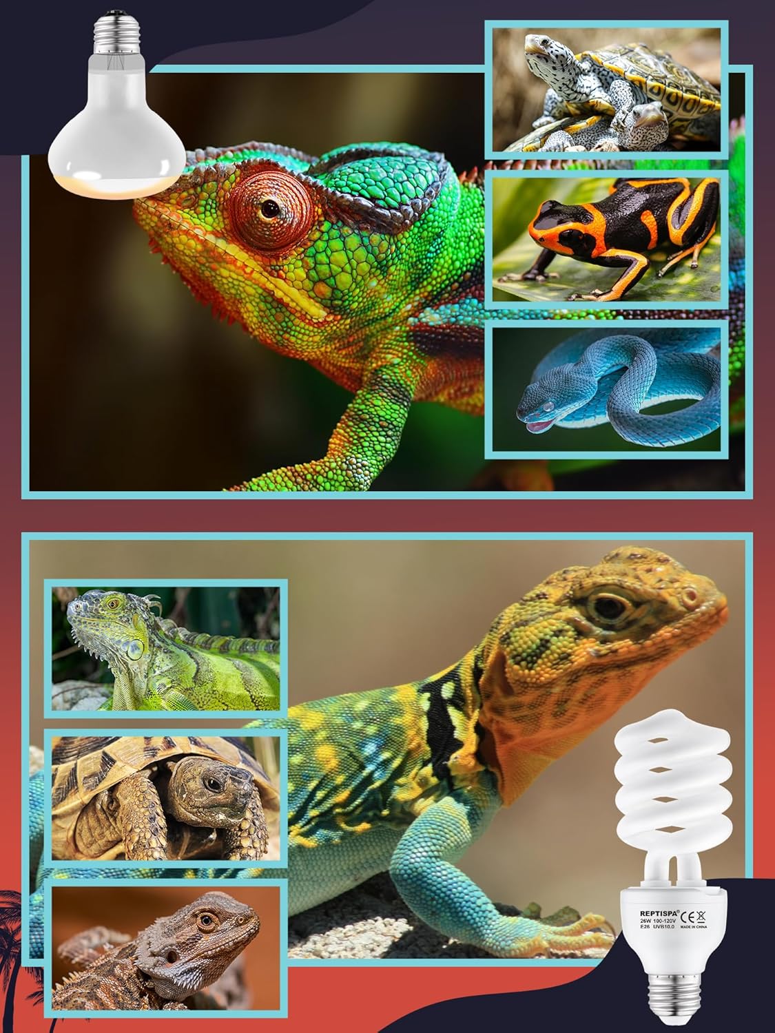 Heat Lamp Combo, 100W UVA Daylight Reptile Heat Lamp Bulb and 26W Desert 10.0 UVB Light for Reptiles, Energy Saving UVB Bulb, Infrared Basking Light for Bearded Dragon, Turtle and Lizard