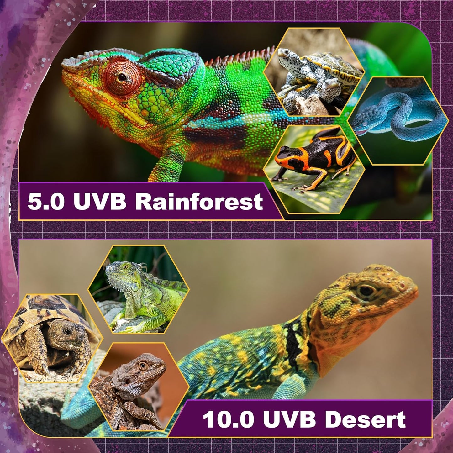 T5 HO UVB Lighting Combo Kit, Reptile Light Fixture with Fluorescent Light Bulbs, Tropical Light for Reptiles and Amphibians, Basking Light for Bearded Dragon, High Output Natural Light (8W 5.0 UVB)