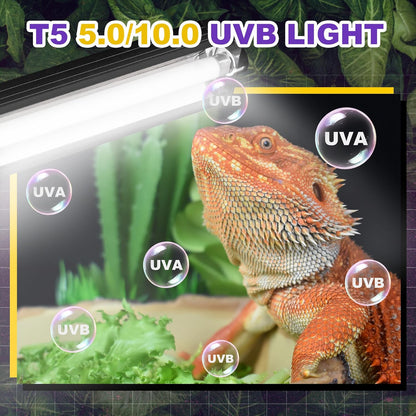 T5 HO UVB Lighting Combo Kit, Reptile Light Fixture with Fluorescent Light Bulbs, Tropical Light for Reptiles and Amphibians, Basking Light for Bearded Dragon, High Output Natural Light (8W 5.0 UVB)